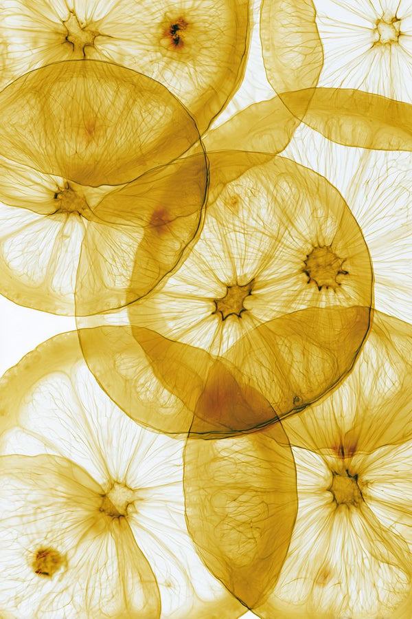 Ashwagandha Extract